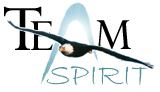 team spirit